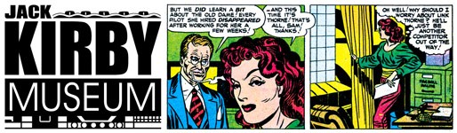 cropped-header_flyinfool_150